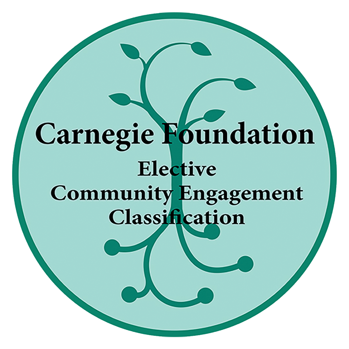 Carnegic Foundation Badge
