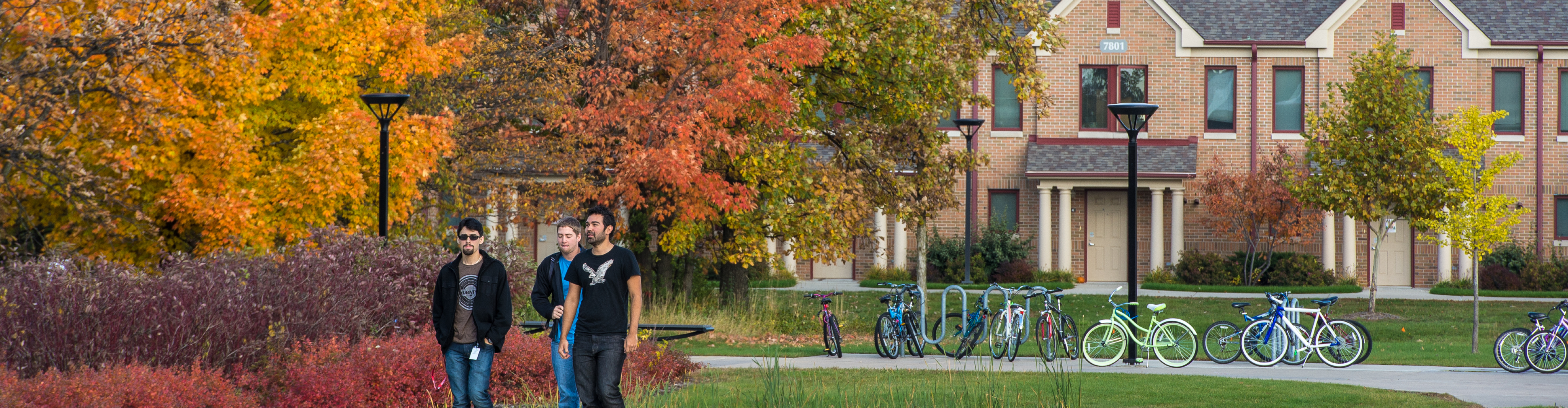 SVSU Campus in the Fall