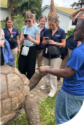 students learning about a giant tortoise in Tanzania