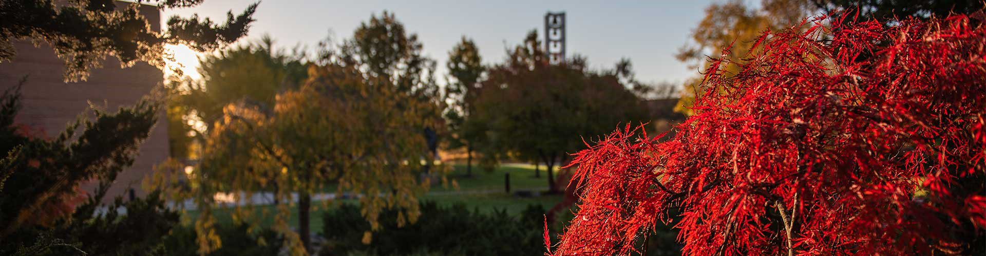 SVSU Campus in the Fall