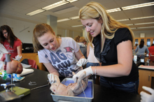 Students work in a biology lab.