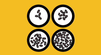 Icon of germs in four petri dishes