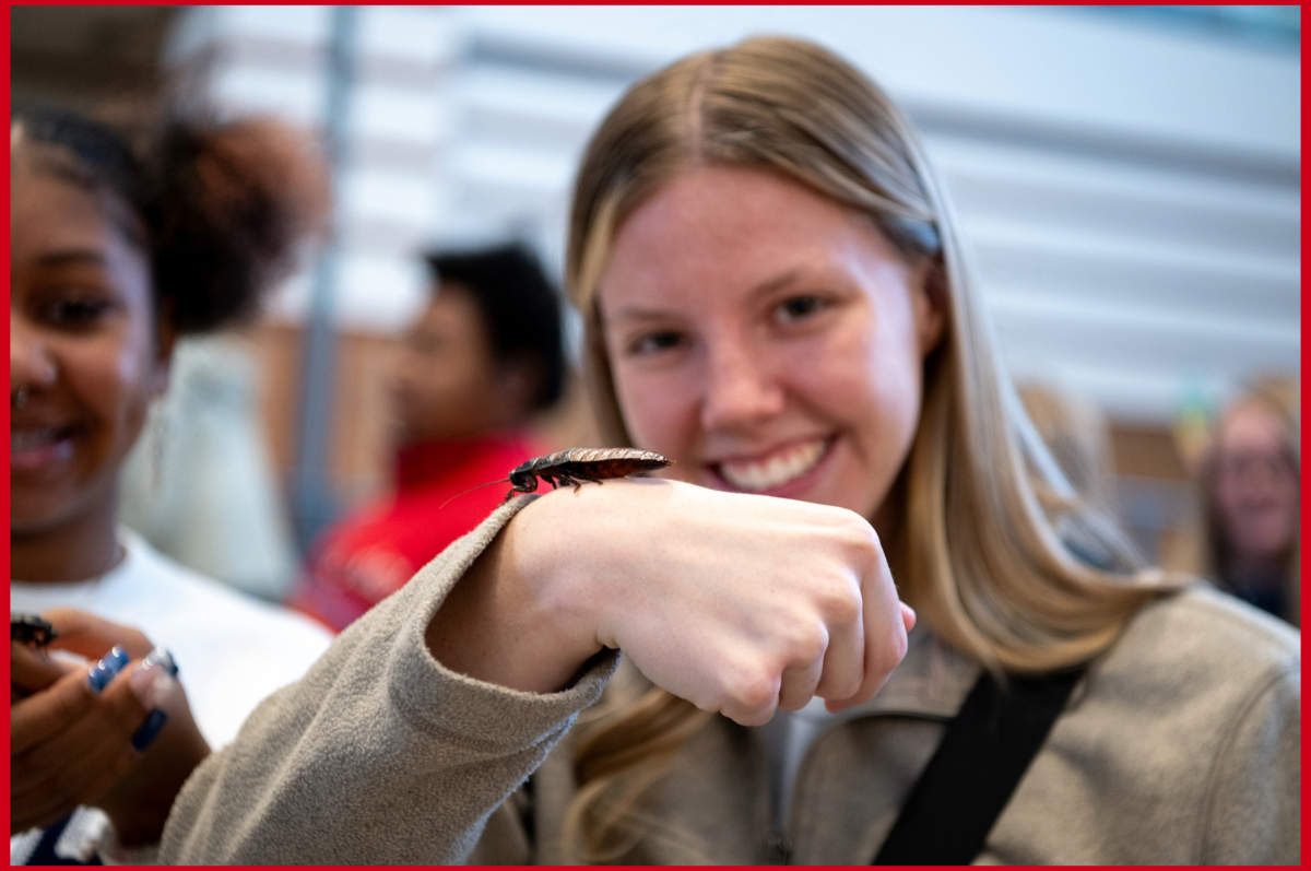 photo of woman holding a large cockroach