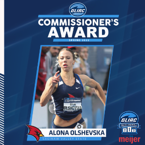 Bronner's CHRISTmas Wonderland, Wayne