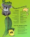 Illustration Class Katrina-koala - S. Bangert